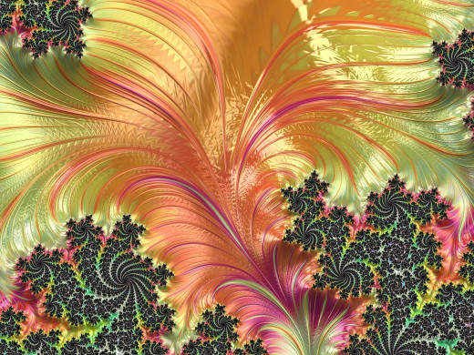 1178419 (a): :2732x2048